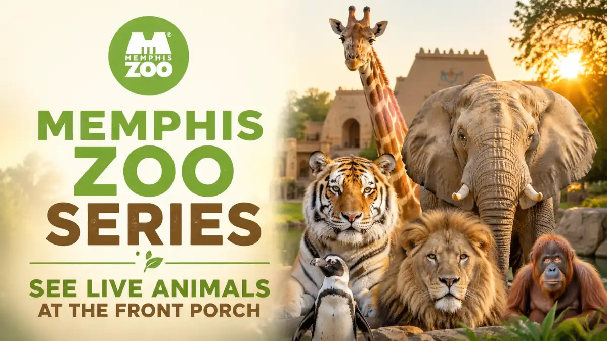 Memphis Zoo Series